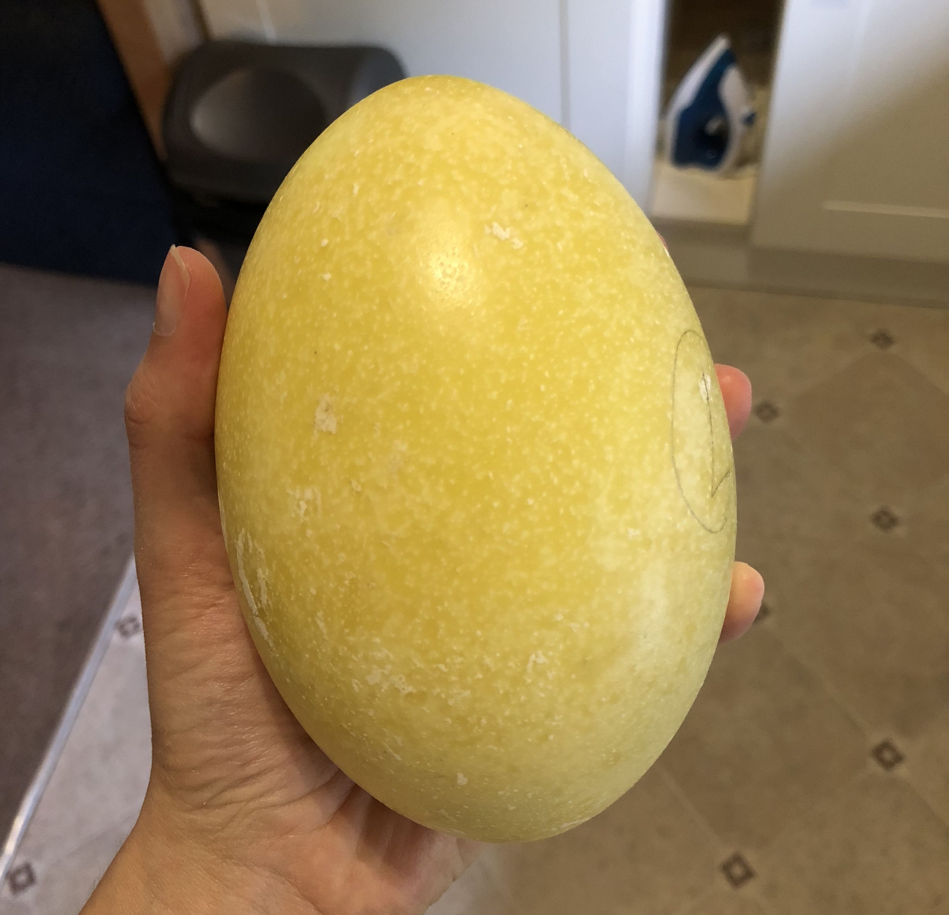 rhea egg
