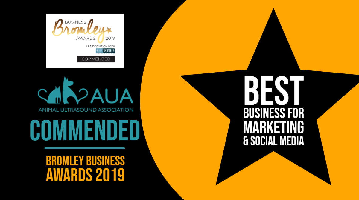 Commended Best Business for Marketing and Social Media