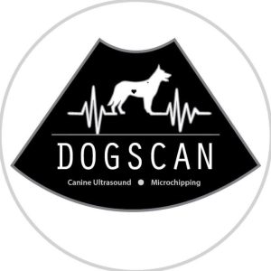 Picture of Stephanie