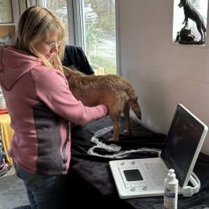 Picture of Miranda Newman