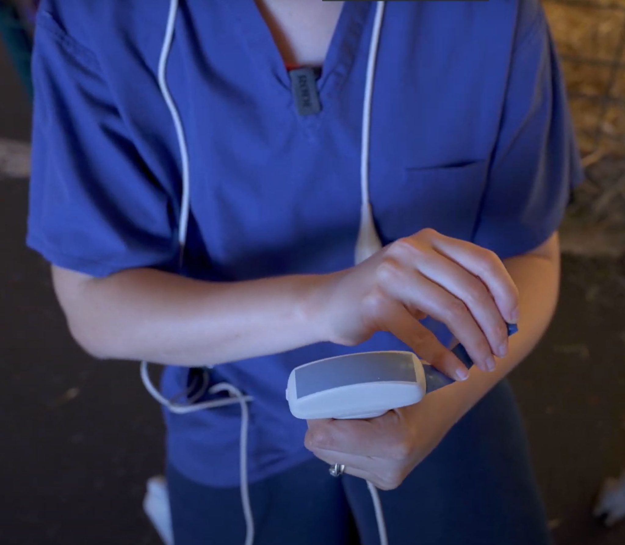 Ultrasound for Goat Pregnancy Scanning – Animal Ultrasound Association