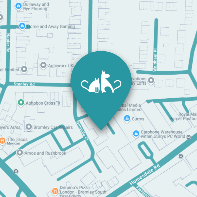 Open Google Map to find directions